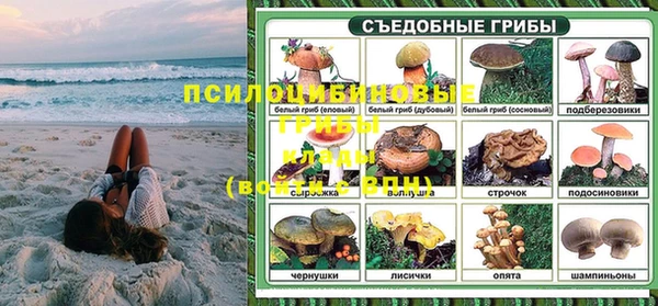 таблы Дмитриев