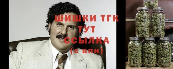 хмурый Дмитров
