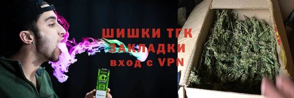 хмурый Дмитров