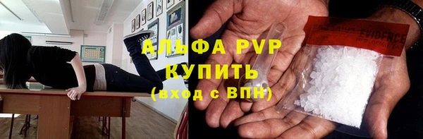 хмурый Дмитров
