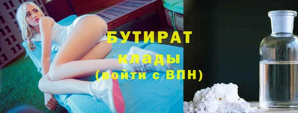 хмурый Дмитров