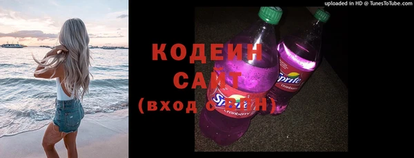 хмурый Дмитров
