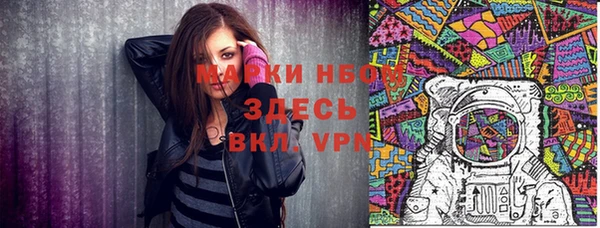 хмурый Дмитров