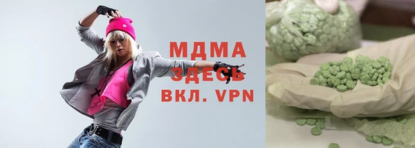 хмурый Дмитров