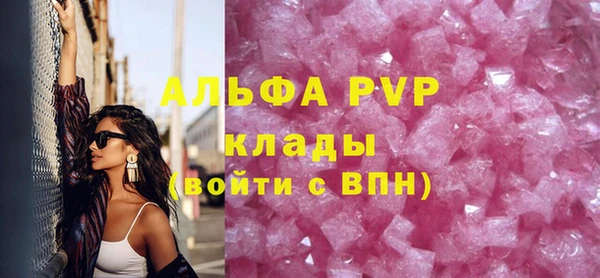 хмурый Дмитров