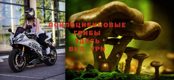 таблы Дмитровск