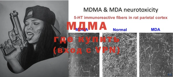 хмурый Дмитров