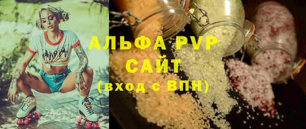хмурый Дмитров